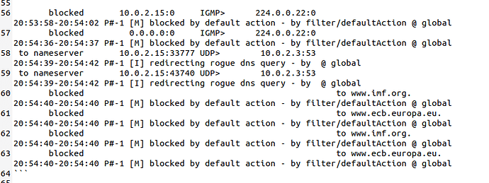 Portmaster Uniidentifed Proces DNS log