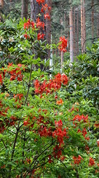 pic250620_084334_0