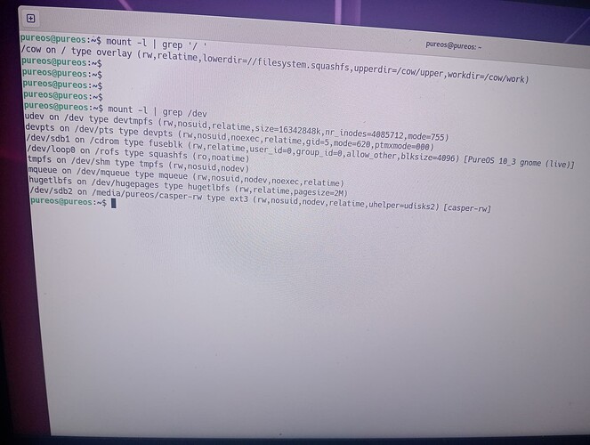 output_mount_commands_pureos_boot