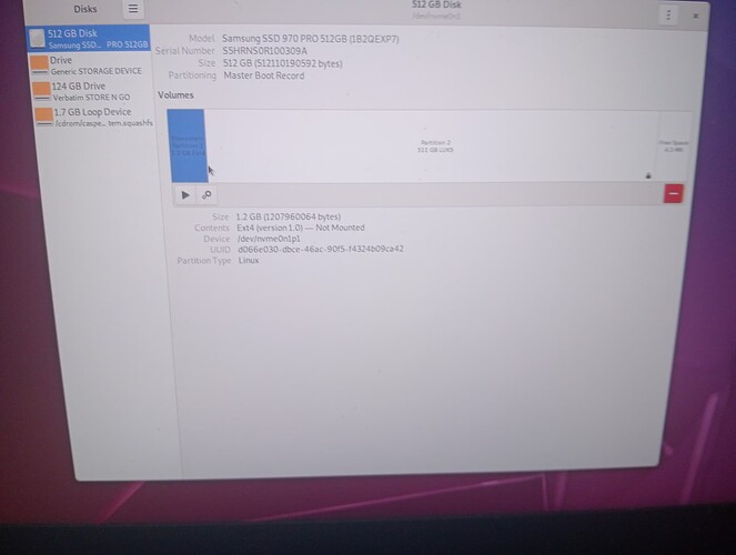 Disks_Librem_Samsung_SSD