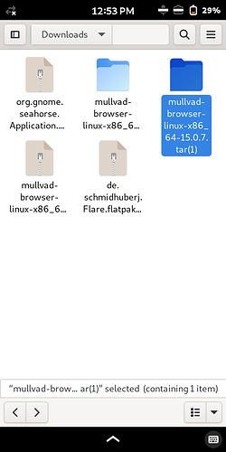 Screenshot from 2026-03-15 12-53-20