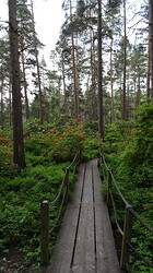 pic250620_084421_0