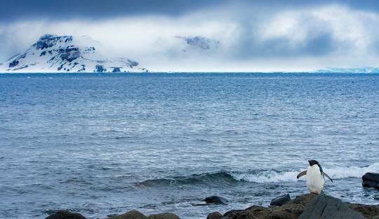 bouvet_island